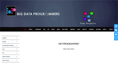 Desktop Screenshot of bigdataprogrammers.com
