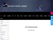 Tablet Screenshot of bigdataprogrammers.com